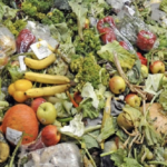 México ocupa el segundo lugar en desperdicio de alimentos en Latinoamérica
