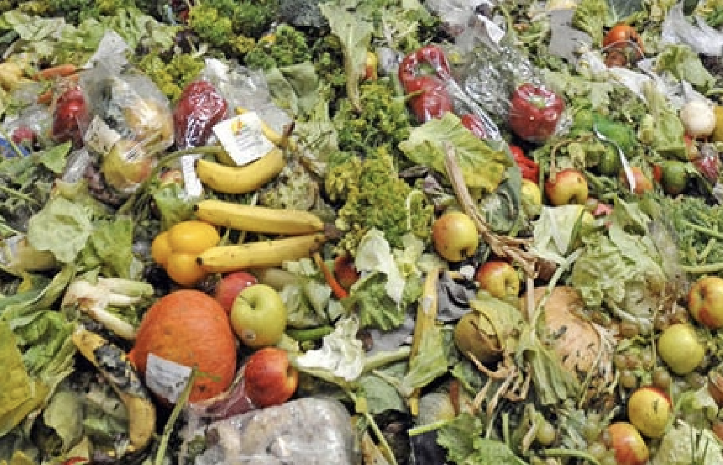 México ocupa el segundo lugar en desperdicio de alimentos en ...