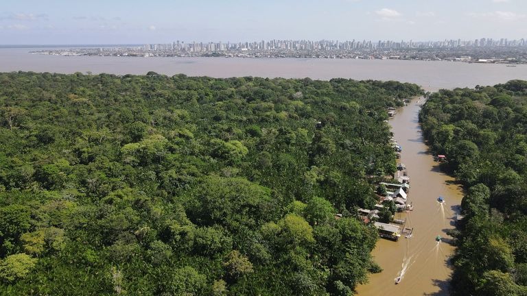 Fondo forestal Lula monitoreo