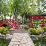 Identidad nikkei fortalece raíces en México, ¿qué es ser nikkei?