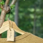 Iniciativas chilenas impulsan reforestación y moda sostenible