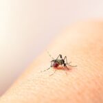 Honduras reporta más de 1,700 casos de dengue