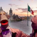 Revelan canales gratuitos para la transmisión de 31 Minutos en México