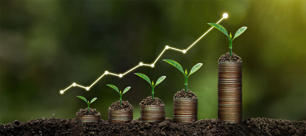 Agricultura rentable