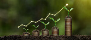 Agricultura rentable