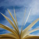 Día Mundial del Libro: Un viaje por las letras latinoamericanas