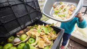 desperdicio de alimentos