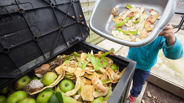 desperdicio de alimentos