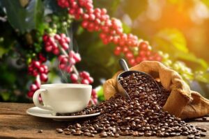 Café Britt