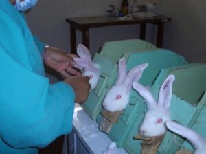 pruebas cosméticas en animales