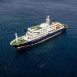 Influencer queda varado en crucero con hantavirus y conmueve con su testimonio: “Somos personas con familias”