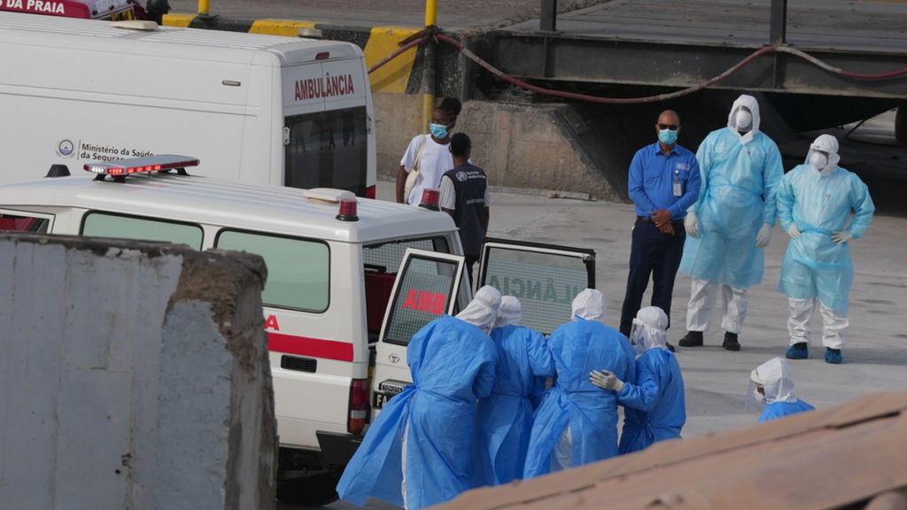 cifras sobre hantavirus