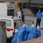 cifras sobre hantavirus