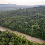 El urbanismo oculto del Upano: Desmitificando la «ciudad perdida» de la Amazonía ecuatoriana