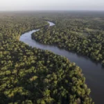 América Latina firma acuerdo para salvar sus bosques
