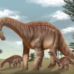 Investigadores en Uruguay descubren al fascinante Mesetasaurus protector