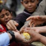 La hambruna afecta a 645 millones a nivel global, pero disminuye un 4.8% en Latinoamérica