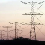 El millonario negocio detrás del boom verde que transforma el continente