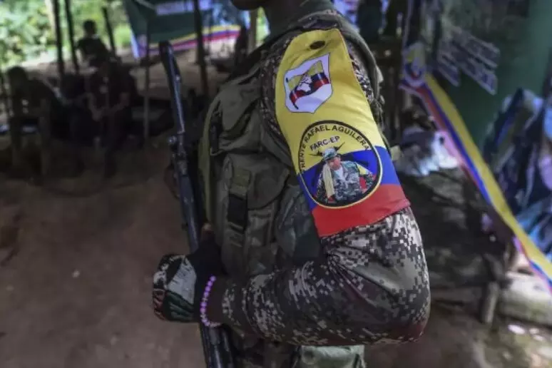 presuntos guerrilleros colombianos