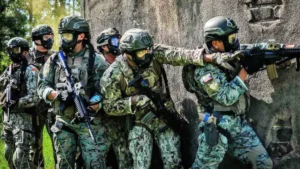 seguridad regional