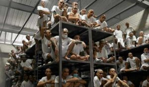 Salvador plan liberación detenidos